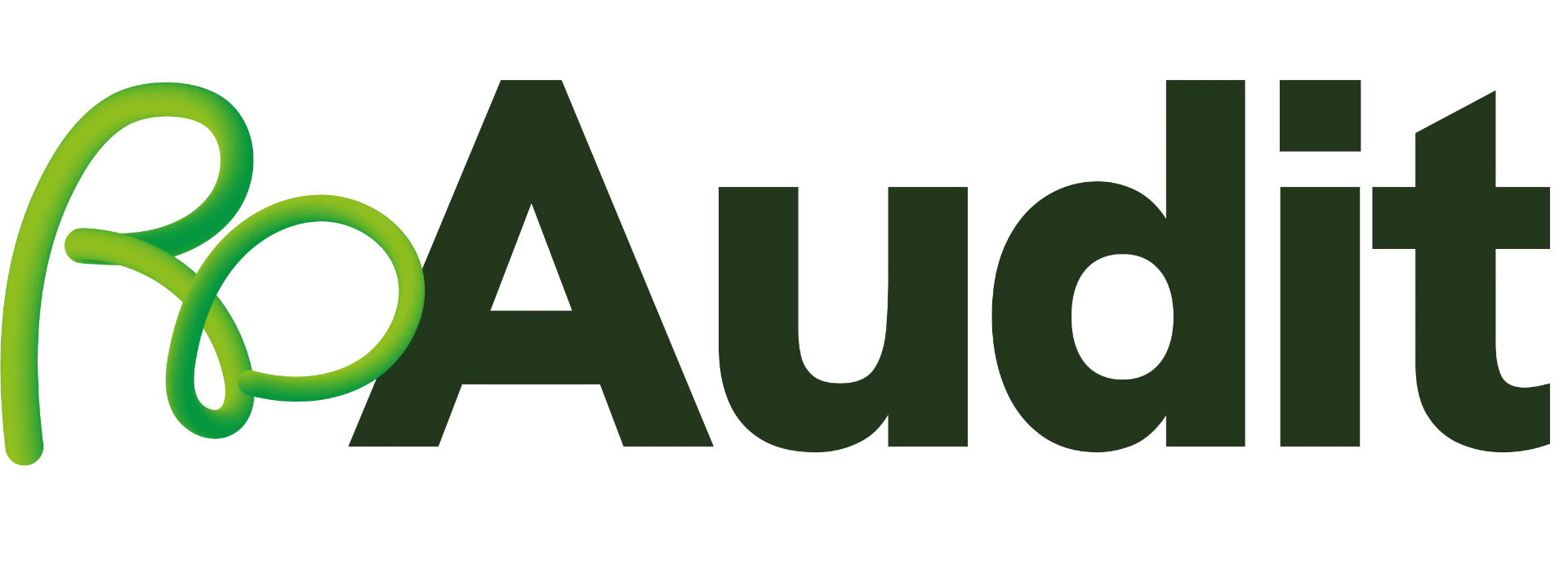 The Ro Audit